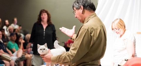 Catwalk: Tales from the Catshow Circuit