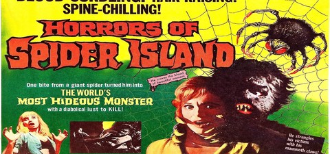Horror en la isla de las arañas
