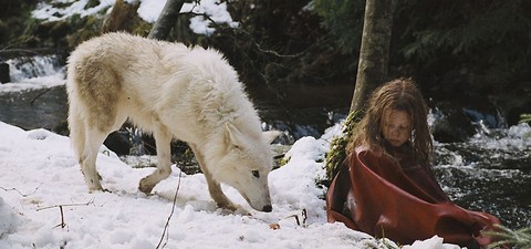 늑대들과 함께 살아남기