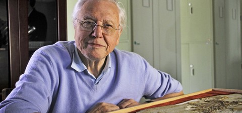 El ascenso de los animales de David Attenborough: El triunfo de los vertebrados
