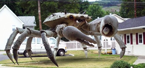 Queen Crab - Die Killerkrabbe