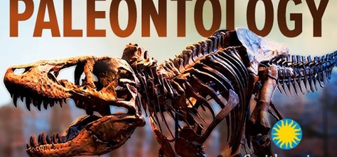 Introduction to Paleontology