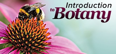 Plant Science: An Introduction to Botany