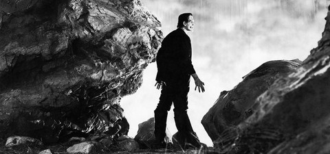 Frankenstein - mannen som skapade en människa