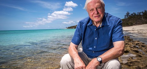 David Attenborough e la Grande Barriera Corallina