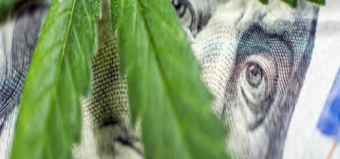 Weed, Greed, and Legalization
