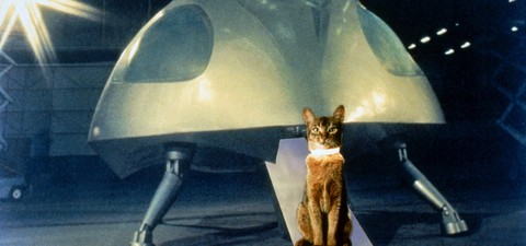 Η Γάτα που Ήρθε από το Διάστημα