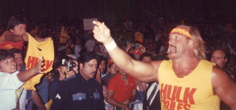 WWE: Hulk Hogan: The Ultimate Anthology