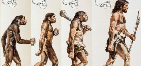 Тайная история человеческой эволюции