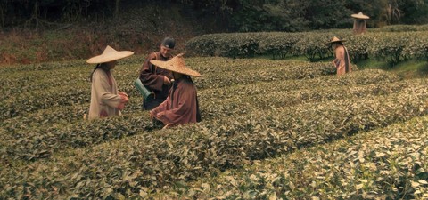 Die Abenteuer des Robert Fortune - Wie ein Mann den Chinesen ihren Tee klaute