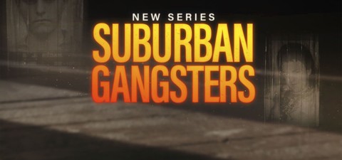 Suburban Gangsters