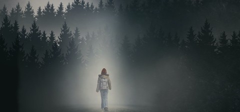 La fille dans le brouillard