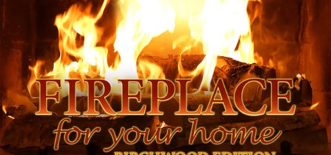 Fireplace for Your Home: Birchwood Edition
