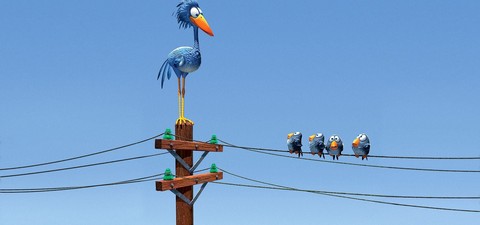 Drôles d'oiseaux sur une ligne à haute tension