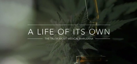 A Life of Its Own: The Truth About Medical Marijuana