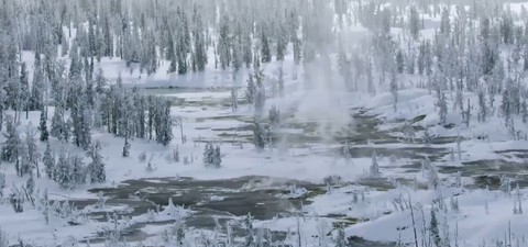 Yellowstone: Nature extrême