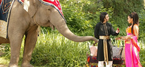 Elephant Princess – Zurück nach Manjipoor