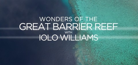 Wonders of the Great Barrier Reef with Iolo Williams