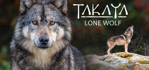 Takaya, der einsame Wolf
