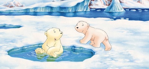 Piuma il piccolo orsetto polare