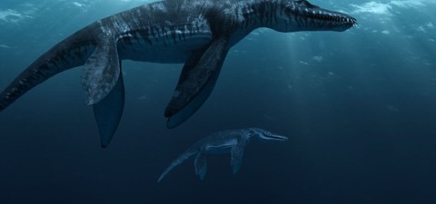 Sea Rex 3D: Reise in die Zeit der Dinosaurier