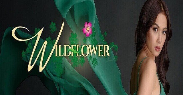 Maja Salvador Sex Video - Wildflower Season 1 - watch full episodes streaming online