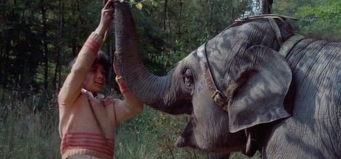 Anoop and the Elephant