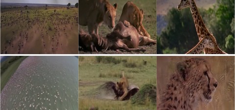 África - El Serengeti