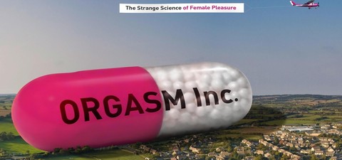Esencia de mujer: Orgasmo S.A.