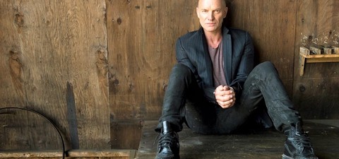 Sting: Beyond the Police