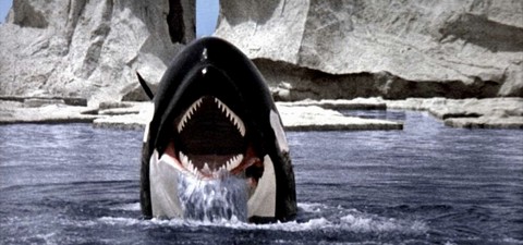 Orca, la ballena asesina