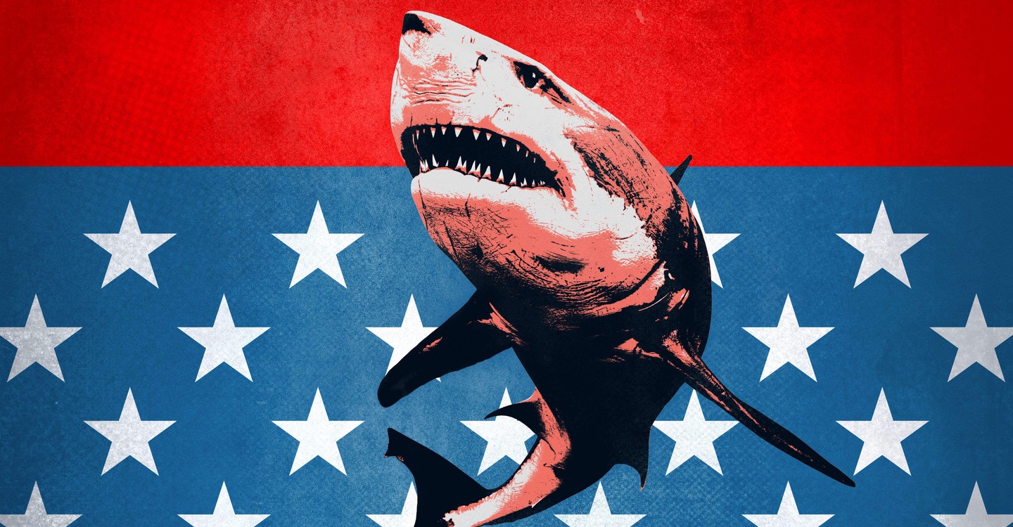 Shark Week Season 2020 - watch full episodes streaming online