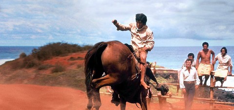 Un cowboy à Hawaï