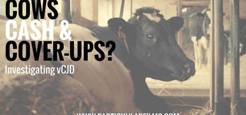 Cows, Cash & Cover-ups? Investigating VCJD