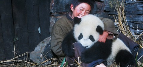 Un panda per amico