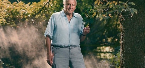Attenborough och massutrotningen