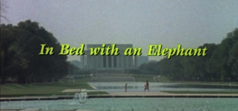 In Bed with an Elephant