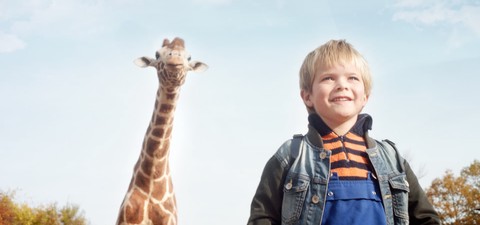Dikkertje Dap (My Giraffe)
