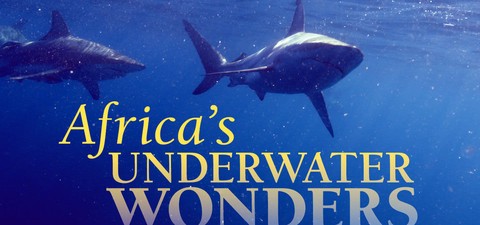 Africa's Underwater Wonders
