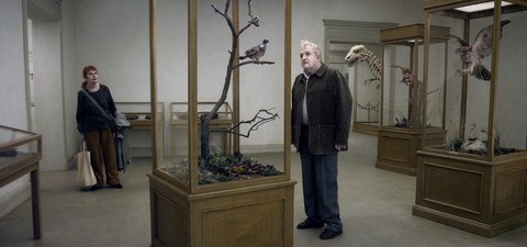 Una paloma se posó en una rama a reflexionar sobre la existencia