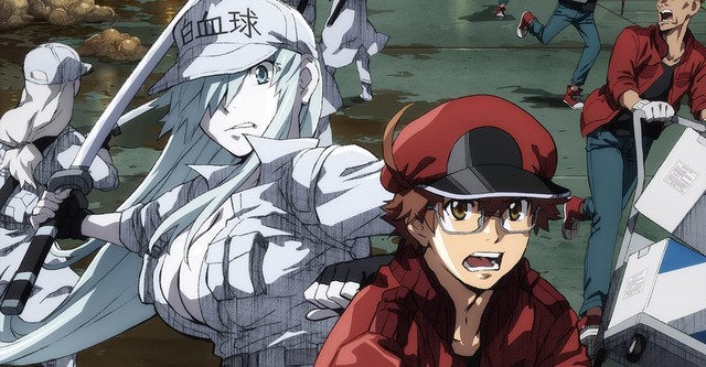 Cells at Work! Season 2: Where To Watch Every Episode