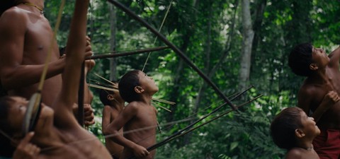 아마존 최후의 숲