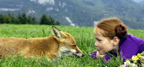 Der Fuchs und das Mädchen