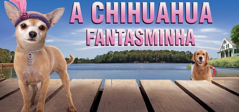 Chihuahua Too!