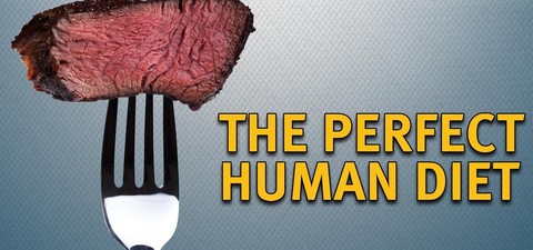 La dieta umana perfetta (The Perfect Human Diet)