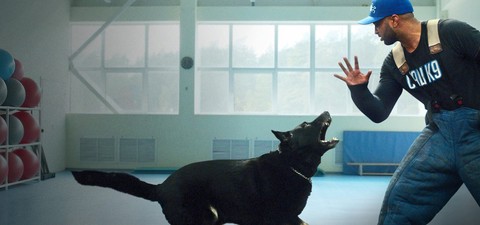 Dog Trainer - Scuola per cani