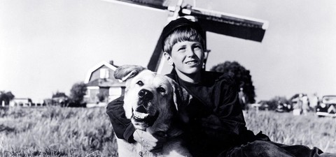 フランダースの犬（1960）