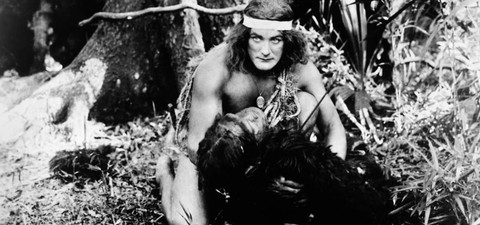 Tarzan från apornas land