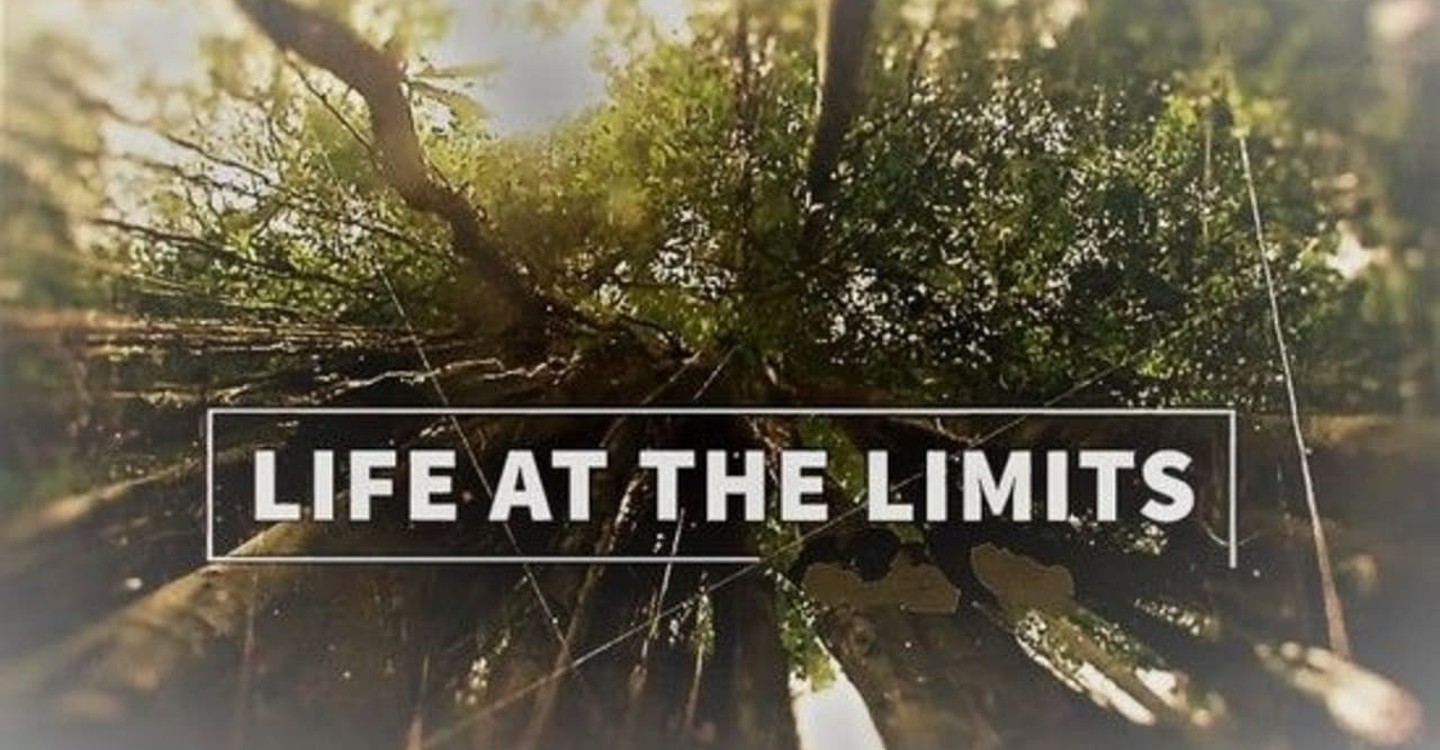 Life at the Limits