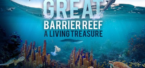 The Great Barrier Reef: A Living Treasure